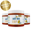 Load image into Gallery viewer, Manuka 263 MGO Immunity Honey (3 x 260g)
